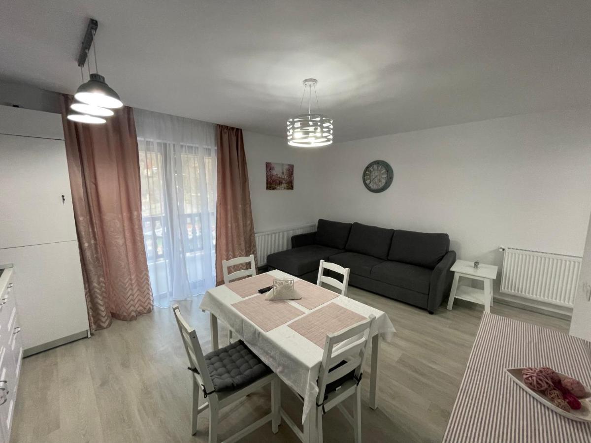 Castle Residence Apt. Eminescu Busteni Exterior photo